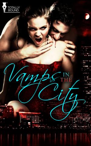 Cover of the book Vamps in the City by Amanda Uechi Ronan