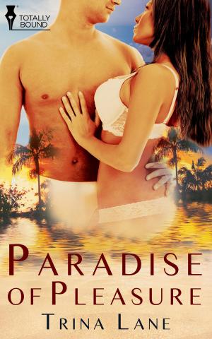 Cover of the book Paradise of Pleasure by Caitlyn Willows