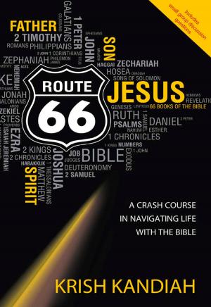 Cover of the book Route 66 by Juliet David, Hannah Wood