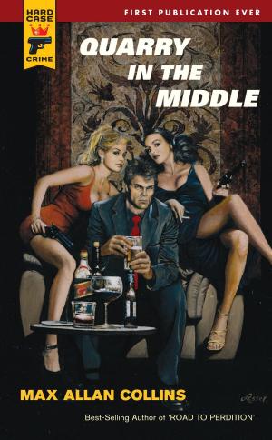 Cover of the book Quarry in the Middle by M.W.Gordon