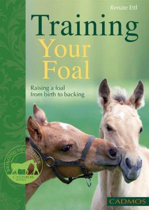 Book cover of Training Your Foal