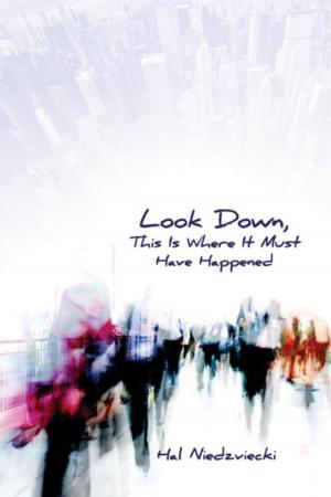 Book cover of Look Down, This is Where It Must Have Happened