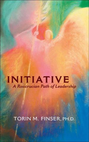 Cover of the book Initiative by David Tresemer; Robert Schiappacasse