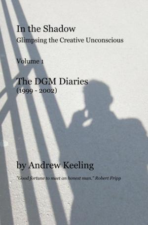 Book cover of In the Shadow: Glimpsing the Creative Unconscious