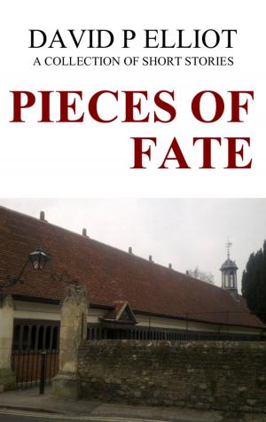 Cover of the book Pieces of Fate by Lauren Ritz