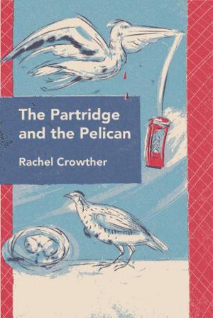 Book cover of The Partridge and the Pelican