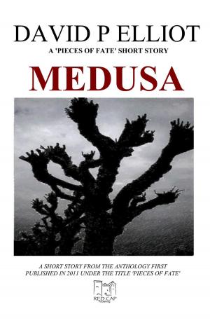 Cover of the book Medusa by Linda R. Harper, Ph.D.