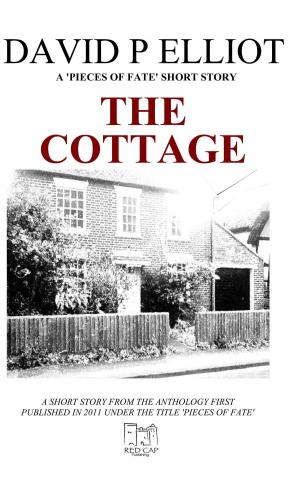 Book cover of The Cottage