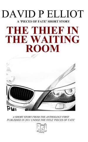 Cover of the book The Thief in the Waiting Room by Linda R. Harper, Ph.D.