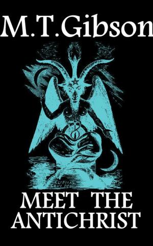 bigCover of the book Meet The Antichrist by 