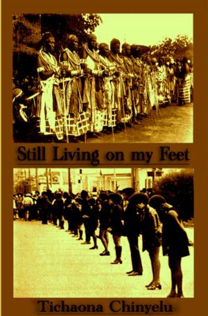 Book cover of Still Living on my Feet