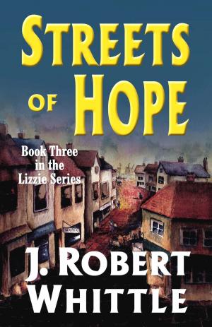 Cover of the book Streets of Hope: Lizzie Series, Book 3 by Natalie Wexler