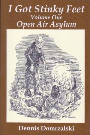 Cover of the book I Got Stinky Feet, Volume One, Open Air Asylum by Bobbi G