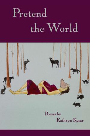 Cover of Pretend the World