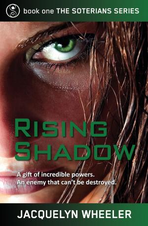 bigCover of the book Rising Shadow by 