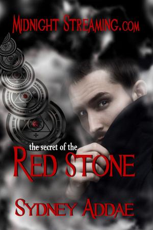 bigCover of the book The Secret of the Red Stone by 