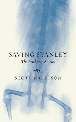Cover of the book Saving Stanley by Peter Donahue
