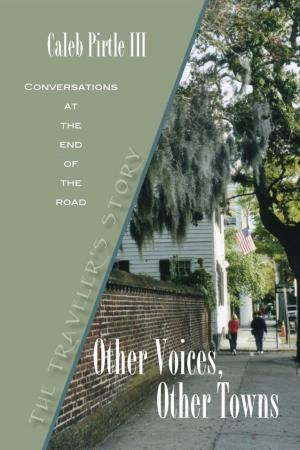 Cover of the book Other Voices Other Towns: The Traveler's Story by ELISÉE RECLUS