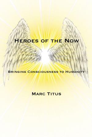 Book cover of Heroes of the Now