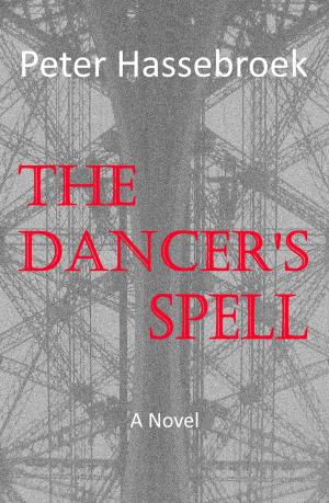 Cover of the book The Dancer's Spell by Jason Kottler