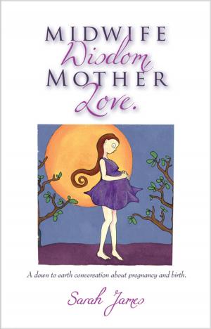 Book cover of Midwife Wisdom, Mother Love