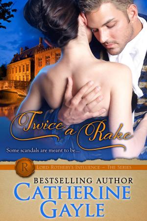 Cover of the book Twice a Rake by Catherine Gayle
