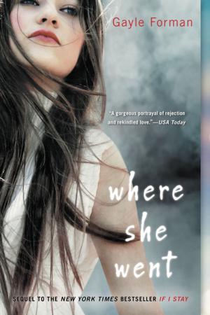 Cover of the book Where She Went by Cindy Jefferies