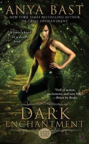 Cover of the book Dark Enchantment by Nancy Woodruff