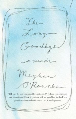 Cover of the book The Long Goodbye by E.E. Knight
