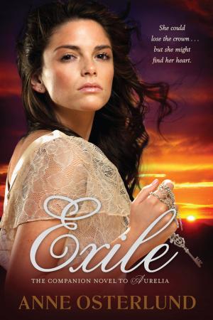 Cover of the book Exile by Brenda Ferber