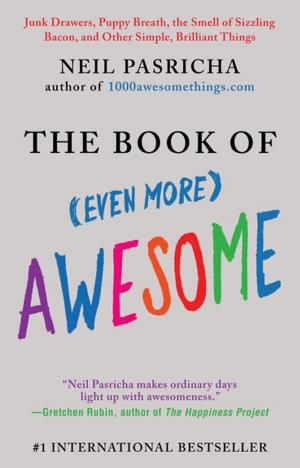 Cover of the book The Book of (Even More) Awesome by Tom Tuohy