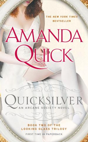 Cover of the book Quicksilver by Christina Dodd