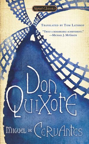 Cover of the book Don Quixote by Andrea Camilleri