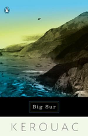 Cover of the book Big Sur by Fausto Brizzi