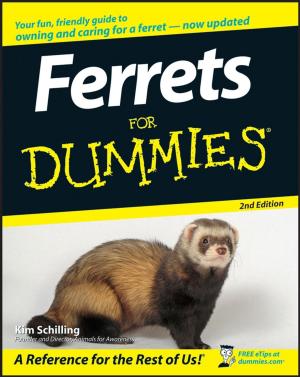 Cover of the book Ferrets For Dummies by Damon Vickers