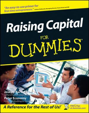 Cover of the book Raising Capital For Dummies by Marco Esser, Bernhard Schelenz