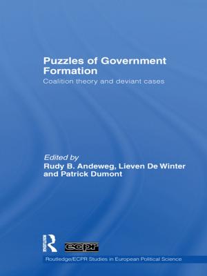 Cover of the book Puzzles of Government Formation by J. Roemer