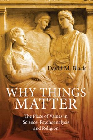 Cover of the book Why Things Matter by Shulamith Shahar