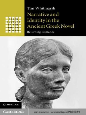 Cover of the book Narrative and Identity in the Ancient Greek Novel by Michal Shapira