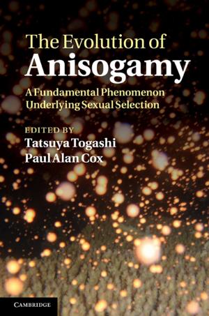 Cover of the book The Evolution of Anisogamy by Dr Jim Beach