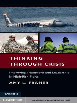 Book cover of Thinking Through Crisis