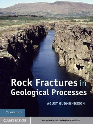 Cover of the book Rock Fractures in Geological Processes by Sophie Read