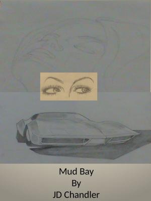bigCover of the book Mud Bay by 