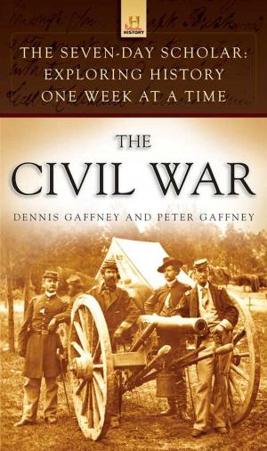 Cover of the book The Seven-Day Scholar: The Civil War by Michelle Schoffro Cook