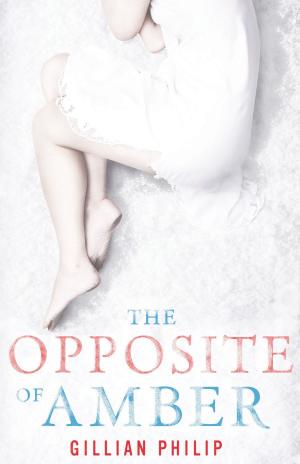 Cover of the book The Opposite of Amber by John Masters