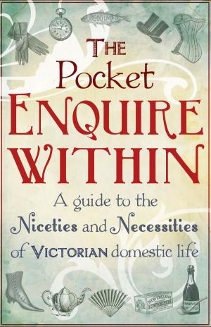 Cover of the book The Pocket Enquire Within by Olga Schpitfeir