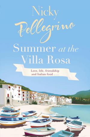 bigCover of the book Summer at the Villa Rosa by 