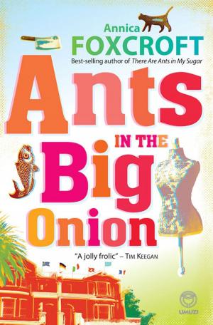 Cover of the book Ants in the Big Onion by Godfrey Parkin