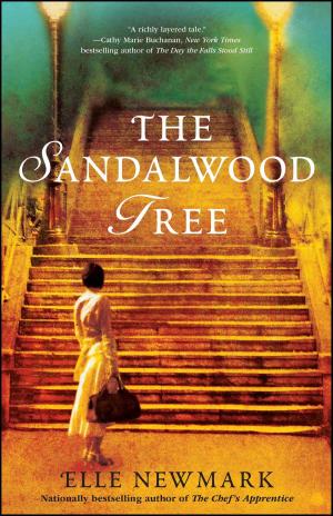 Cover of the book The Sandalwood Tree by Carlos Castaneda