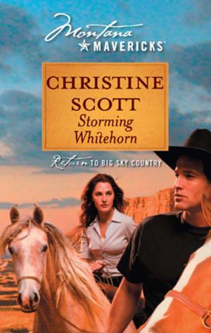 Cover of the book Storming Whitehorn by Laurie Kingery